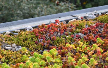 the cost of Welcombe green roof installation