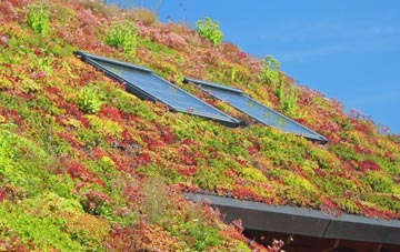 Welcombe living roof systems